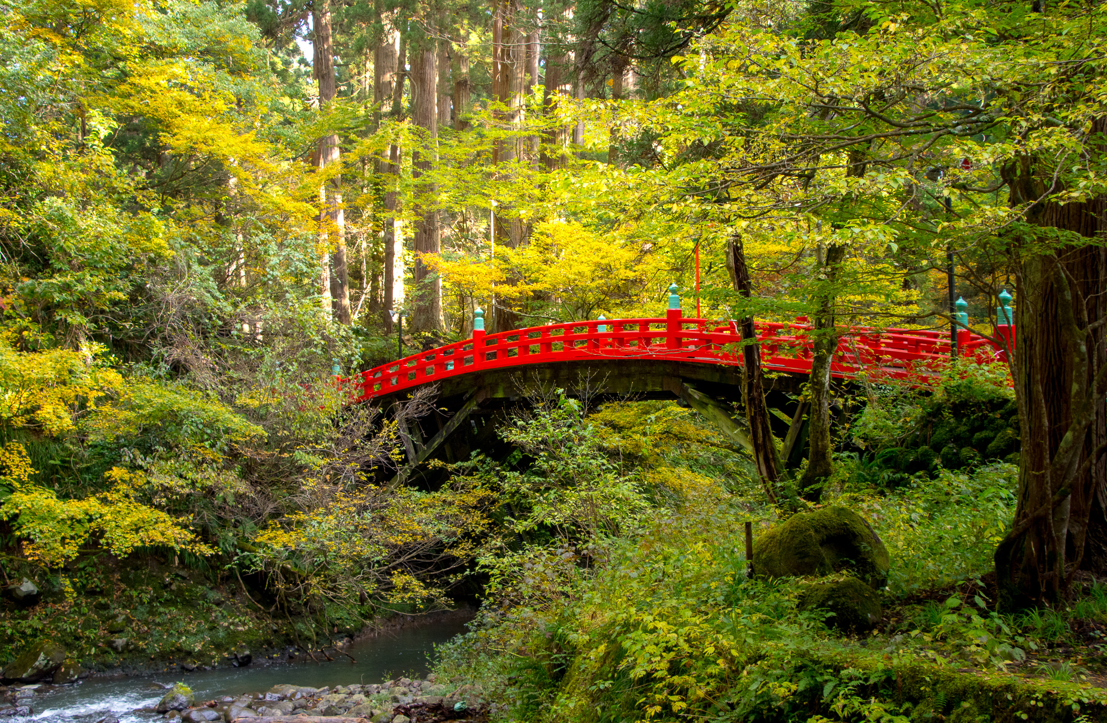 Shinkyo Shinkyo-costjapan